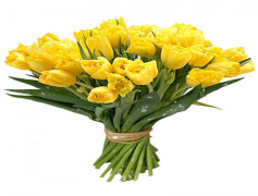 Bunch, Collection, Group, Cluster, Bundle PNG