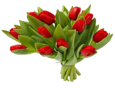 Bunch, Gathering, Assortment, Set, Group PNG