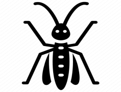 Bush Crickets, Green Camouflage, Nature Life, Outdoor Habitat, Insect Sounds PNG