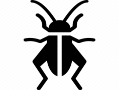 Bush Crickets, Habitat, Nature, Entomology, Chirping PNG