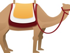 Camels, Caravan, Humps, Nomadic, Resilience PNG