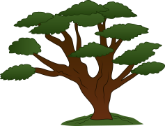 Cartoon Tree, Colorful, Whimsical, Playful, Character PNG