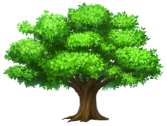 Cartoon Tree, Whimsical Forest, Imaginative Scenery, Playful Nature, Colorful Foliage PNG