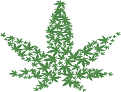 Cartoon Weed Leaf, Colorful Herb Emblem, Cannabis Icon, Whimsical Green Leaf, Fun Pot Leaf PNG