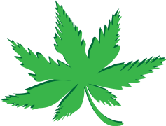 Cartoon Weed Leaf, Green Leaf, Marijuana Graphic, Fun Cannabis, Nature Motif PNG