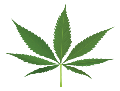 Cartoon Weed Leaf, Playful Herb Leaf, Whimsical Ganja Leaf, Funny Cannabis Leaf, Cute Cannabis Character PNG