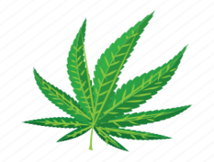 Cartoon Weed Leaf, Whimsical Pot Leaf, Playful Herb Leaf, Cute Cannabis Plant, Animated Cannabis Leaf PNG