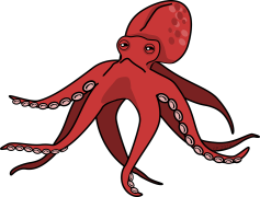 Cephalopod, Mollusk, Tentacles, Octopus, Squid PNG