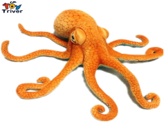 Cephalopod, Tentacles, Octopus, Nautilus, Ink PNG