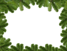 Christmas Branches, Seasonal Foliage, Festive Arrangement, Winter Greenery, Holiday Decor PNG