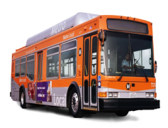 City Bus, Commuter Service, City Transit, Local Transportation, Urban Travel PNG