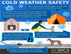 Cold Weather, Subzero Climate, Snowy Conditions, Frosty Temperatures, Icy Winds PNG