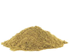 Coriander, Culinary, Herb, Aromatic, Flavor PNG