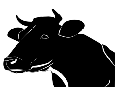 Cow Head, Farm Theme, Animal Skull, Country Aesthetic, Vintage Look PNG