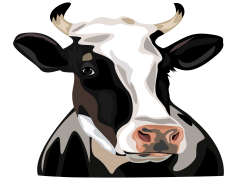 Cow Head, Rustic, Farm, Animal, Agriculture PNG