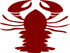Crawfish Vector, Vector Graphics, Louisiana Cooking, Freshwater Crustacean, Cajun Cuisine PNG