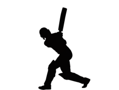 Cricket Silhouette, Sport, Player, Action, Ball PNG