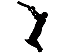 Cricket, Team, Bat, Sport, Bowler PNG