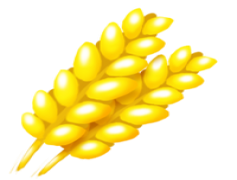 Crop, Crop Tool, Crop Ratio, Crop Selection, Crop Adjustment PNG