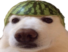 Dank Meme, Creative, Shareable, Funny, Internet PNG