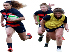 Deborah Fleming, Painter, Artist, Creative, Gallery PNG