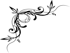 Decorative Art, Visual Decor, Unique Motifs, Stylish Adornment, Artistic Embellishment PNG