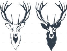 Deer Head, Forest, Wildlife, Rustic, Mounting PNG