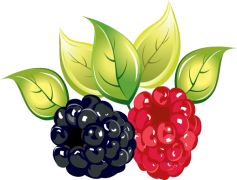 Dewberry, Wild, Plant, Berry, Edible PNG