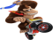 Diddy Kong, Jungle, Racing, Monkey, Adventure PNG