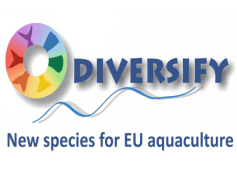 Diversify, Enrich, Broaden, Expand, Vary PNG