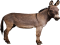Donkey, Burden, Animal, Mammal, Ears PNG