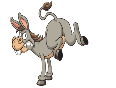 Donkey, Strong, Animal, Hooves, Ears PNG