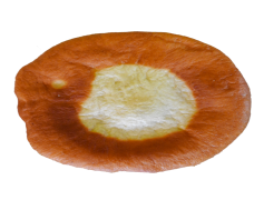 Donut, Pastry, Sweet, Tasty, Glazed PNG
