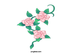 Drawing Of Flowers, Botanical Art, Floral Sketch, Stem Studies, Nature Doodles PNG