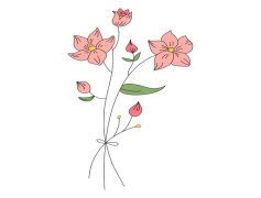 Drawing Of Flowers, Garden Illustrations, Floral Sketches, Petal Patterns, Creative Botanicals PNG