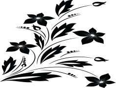 Drawing Of Flowers, Petal Patterns, Blooming Plants, Artistic Flora, Nature Study PNG