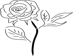 Drawing Of Roses, Hand-Drawn Flowers, Nature Illustration, Vintage Rose Print, Elegant Blooms PNG