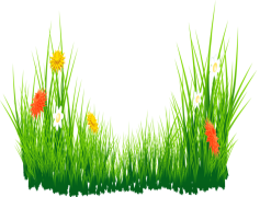 Easter Egg Grass, Festive Decoration, Colorful Filler, Vibrant Material, Holiday Accessory PNG