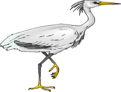 Egret Bird, Shoreline Presence, White Feathered, Long Neck, Wetlands Habitat PNG