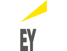 Ernst And Young Logo, Global Network, Branding, Financial Advisory, Visual Symbol PNG