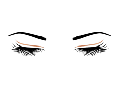 Eyelashes, Enhancements, Beauty, Extensions, Makeup PNG