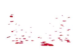 Falling Rose Petals, Beauty, Symbolism, Nature, Serenity PNG