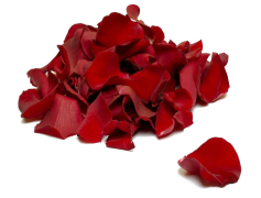 Falling Rose Petals, Softness, Floral, Serenity, Nature PNG