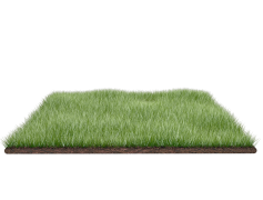 Field, Greenery, Meadow, Agriculture, Landscape PNG