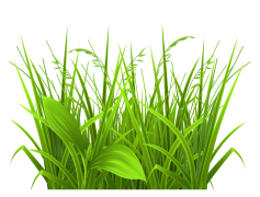 Field, Nature, Agriculture, Soil, Farm PNG