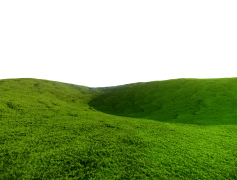 Field, Rural, Crop, Meadow, Agriculture PNG