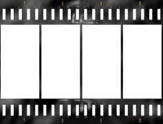 Film Frame, Storytelling, Cinematic, Captured, Scene PNG