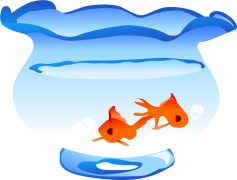 Fish Tank Vector Goldfish, Aquatic, Pets, Marine, Freshwater PNG