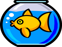 Fish Tank Vector Single Fish, Underwater Scene, Freshwater Species, Decorative Aquarium, Fish Illustration PNG