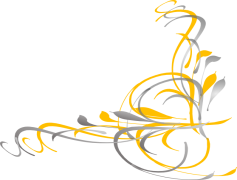 Floral Swirl, Decorative, Elegant, Pattern, Bloom PNG